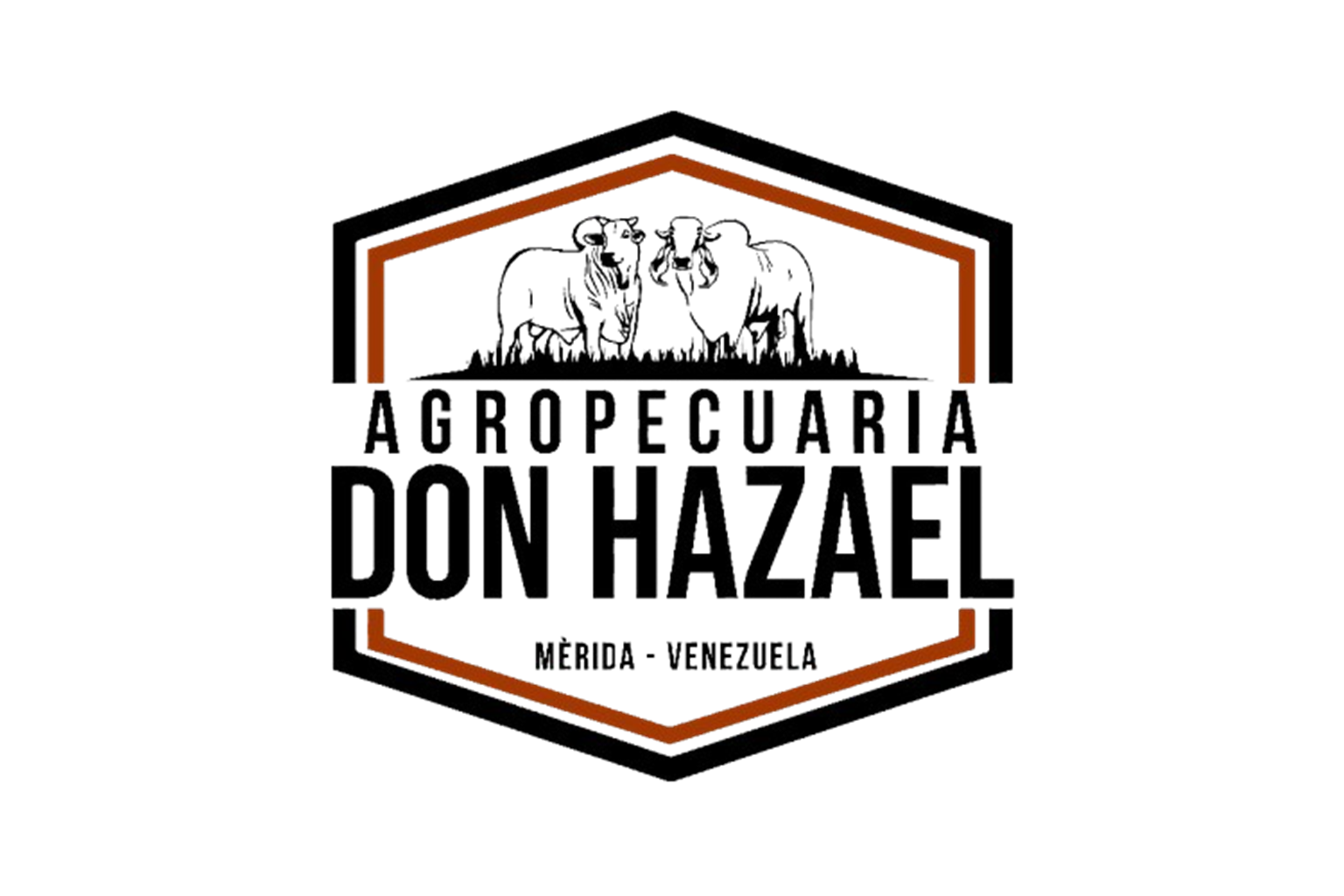 Sponsor Copa Ferias Del Sol